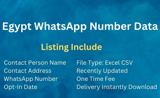 Egypt Whatsapp Number